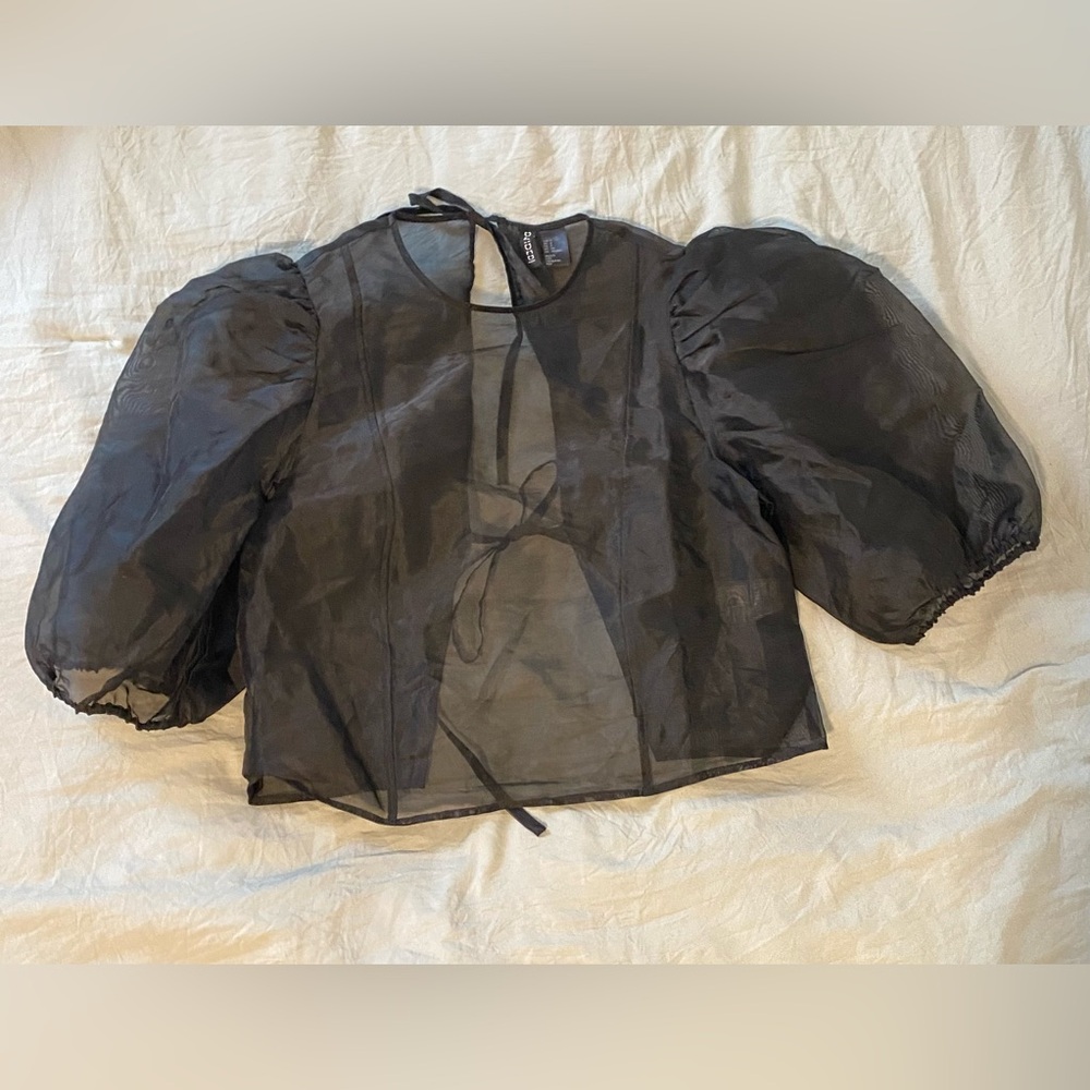 H&M Puff-Sleeved Organza Sheer Top